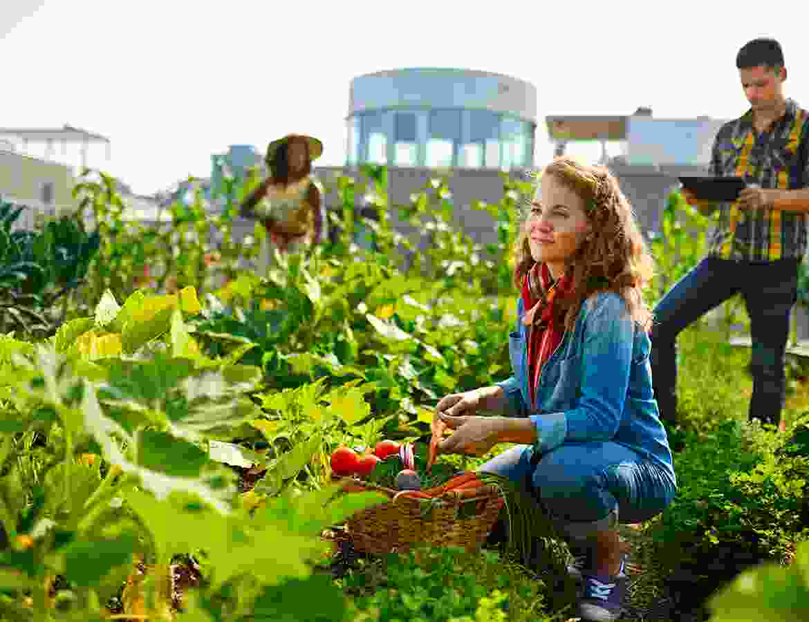 Fusce at semper tellus